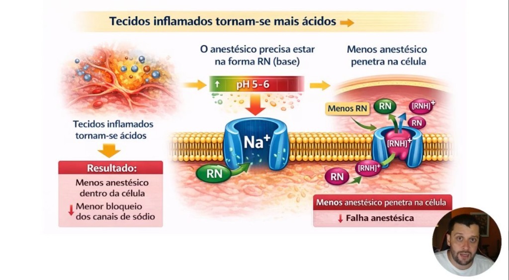 Módulo 1